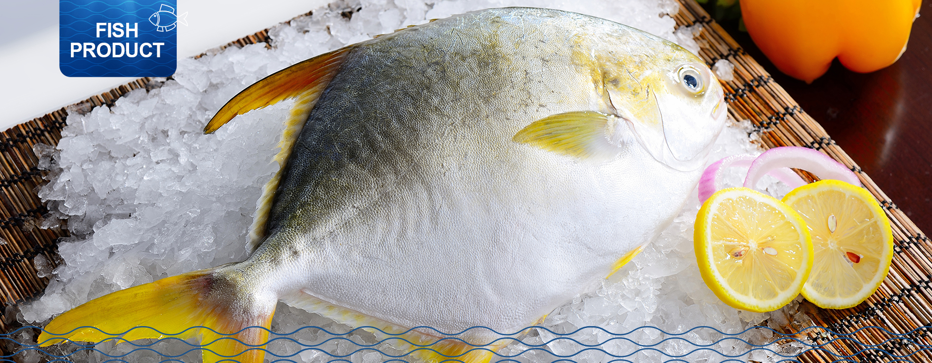 一级产品1920x748金鲳鱼.jpg
